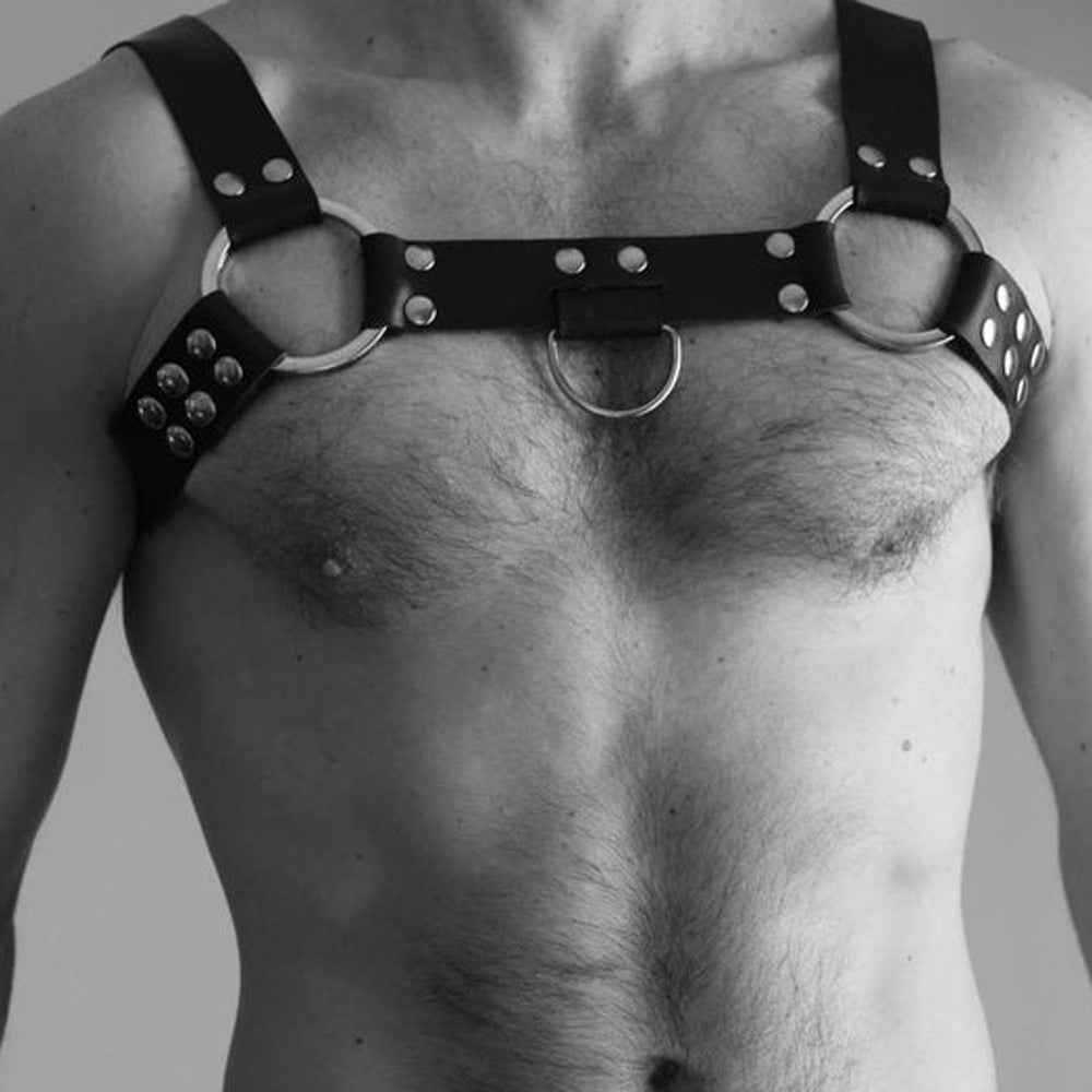 Black Leather Harness Range