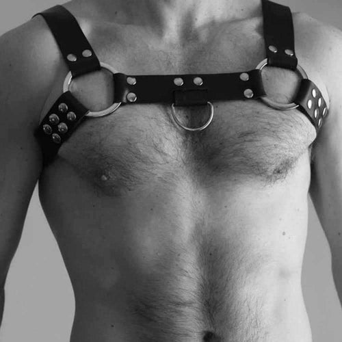 Black Leather Harness Range